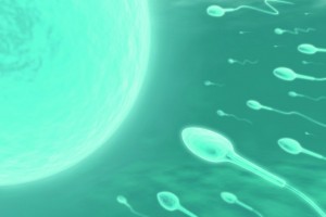 Becoming a sperm donor