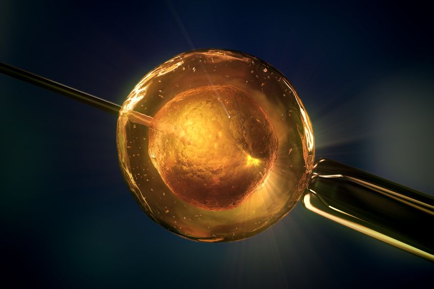 close-up-of-in-vitro-fertilisation-ivf--3d-high-resolution-rendering
