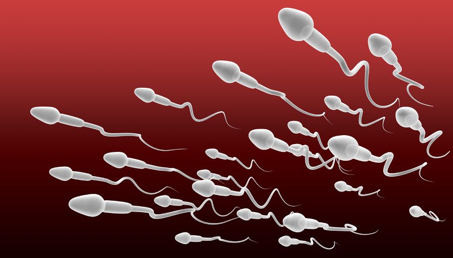 microscopic perspective view closeup of a group of sperm swimming in one direction