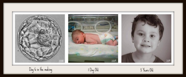 Ashton Thompson - Fertility Solutions Bundaberg's 1st baby born January 2009