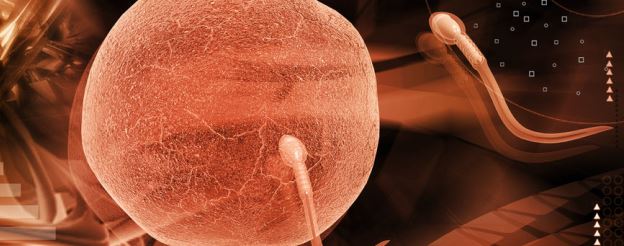 digital illustration of sperm in color background