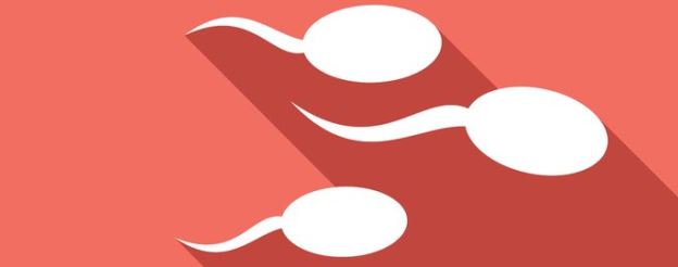 sperm with a shadow on pink background