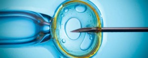 In vitro fertilisation image donor programs for overseas egg and sperm