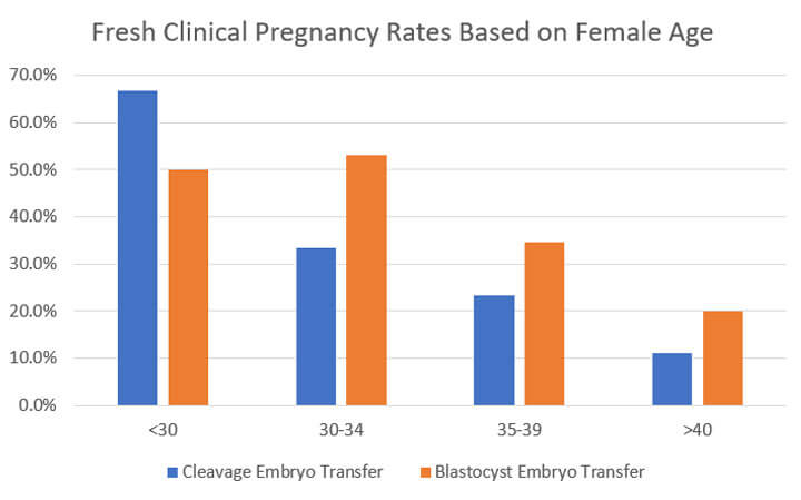fresh clinical pregnancy based on female age